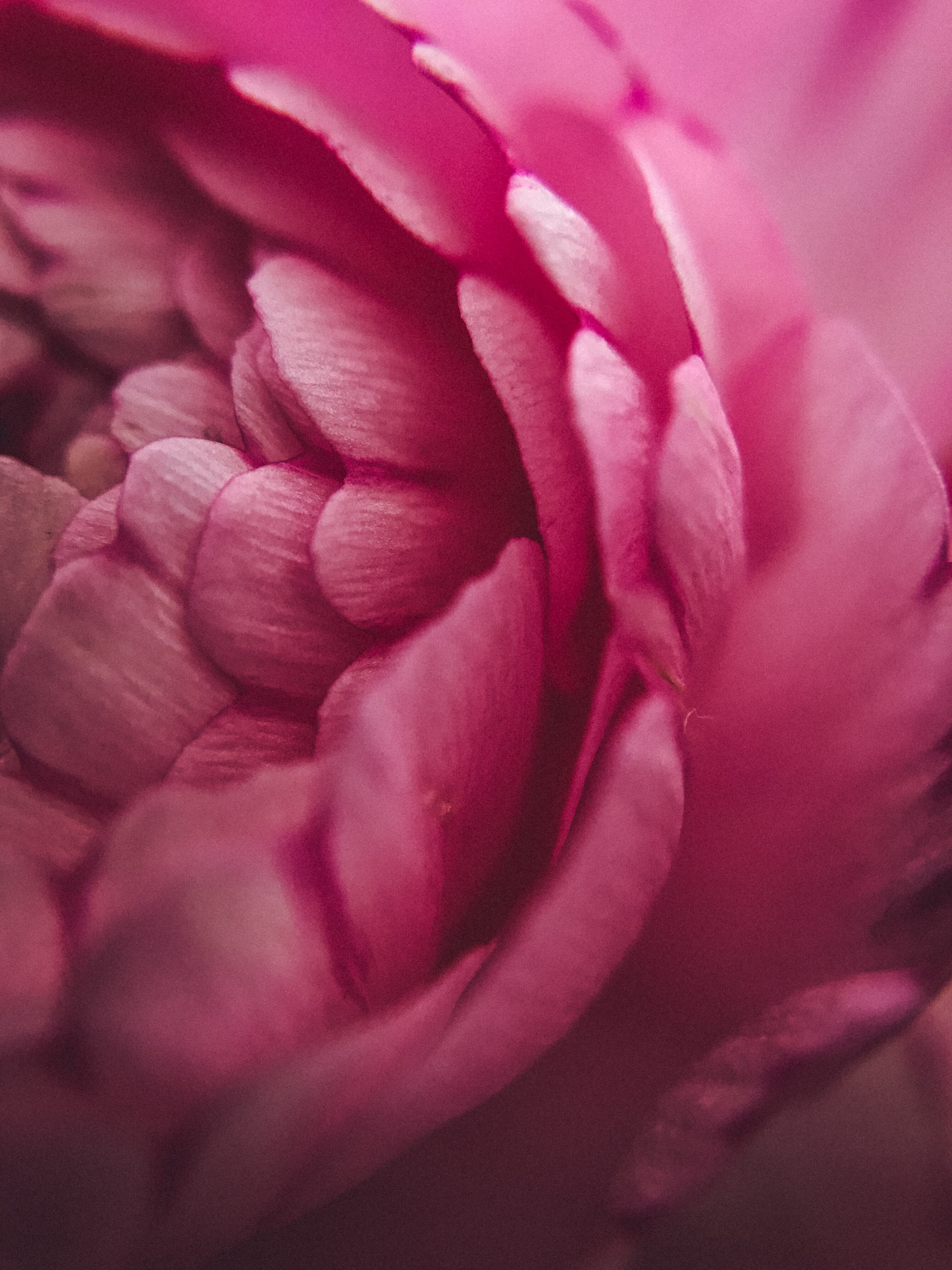 Photography Ideas At Home 19 Photo Projects When Staying At Home